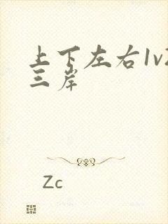 上下左右1v2三岸