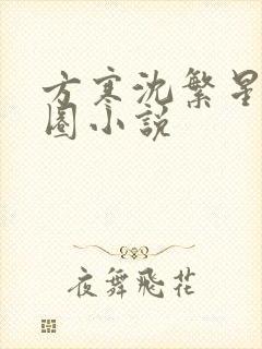 方寒沈繁星娱乐圈小说