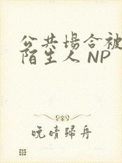 公共场合被各种陌生人 NP