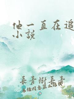 他一直在追初恋小说