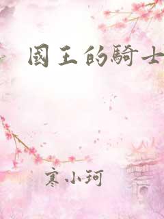 国王的骑士