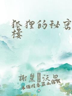 狐狸的秘密19楼