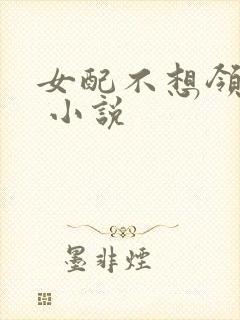 女配不想领便当 小说