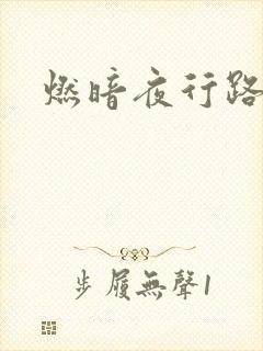 燃暗夜行路