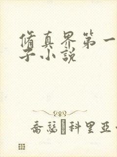 修真界第一病秧子小说