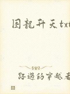 困龙升天txt