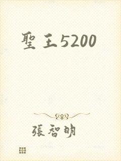 圣王5200