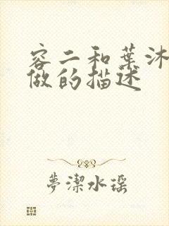 容二和叶沐走着做的描述