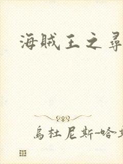 海贼王之寻亲记