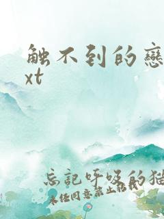 触不到的恋人txt