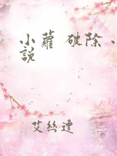 小萝 破除 小说