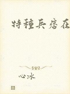 特种兵痞在都市