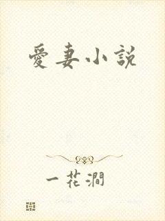 爱妻小说