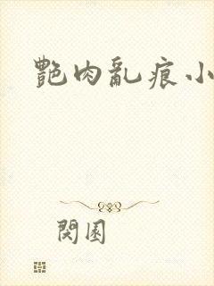 艳肉乱痕小说