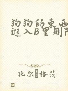 狗狗的东西直接进入B里删除