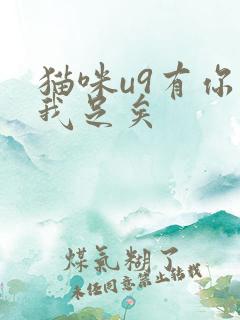 猫咪u9有你有我足矣