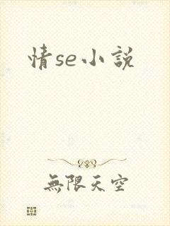 情se小说