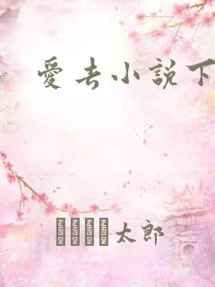爱去小说下载网