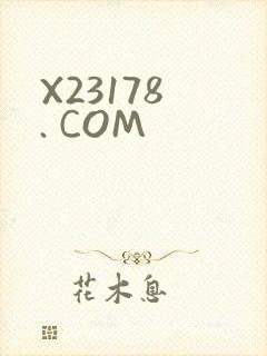 X23178 . COM