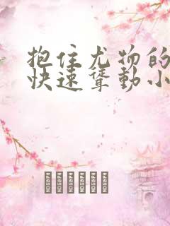 抱住尤物的翘臀快速耸动小说