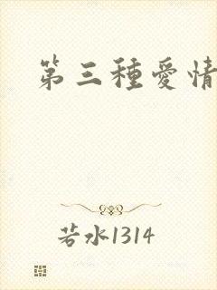 第三种爱情番外
