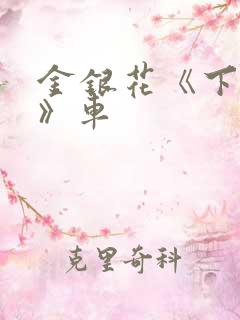 金银花《下厨房》车