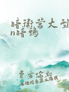 暗卫营大型hpn暗鸦