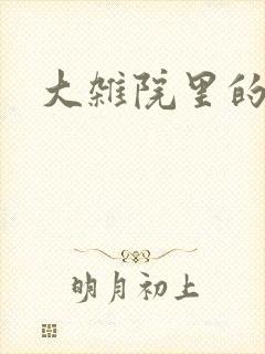 大杂院里的女人