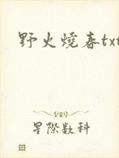 野火烧春txt
