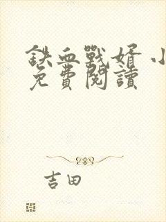 铁血战婿 小说免费阅读