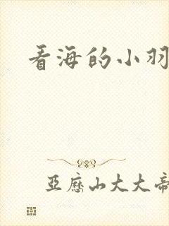 看海的小羽