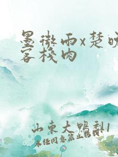 墨微雨x楚晚宁客栈肉