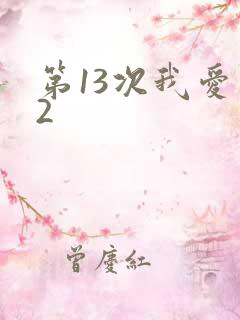 第13次我爱你2