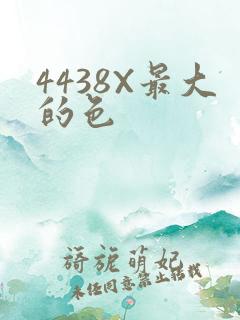 4438X最大的色
