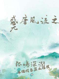 盛唐风流之武状元