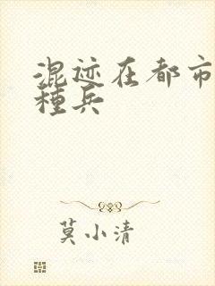 混迹在都市的特种兵