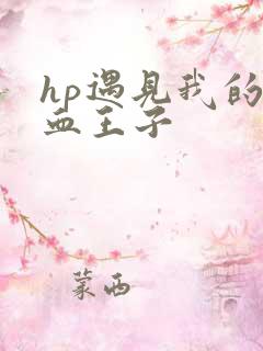 hp遇见我的混血王子