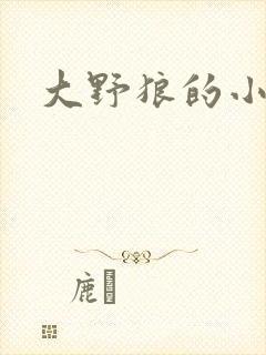 大野狼的小猫咪