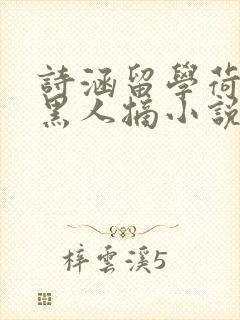 诗涵留学荷兰被黑人摘小说