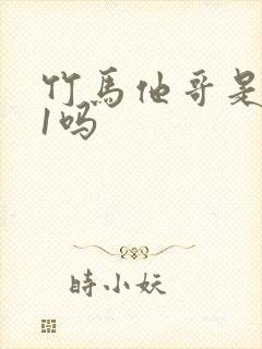 竹马他哥是1v1吗