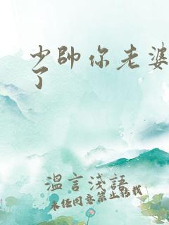 少帅你老婆又跑了