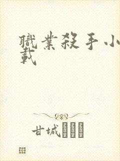 职业杀手小说下载