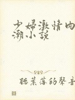 少妇激情肉欲高潮小说