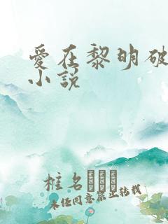 爱在黎明破晓前小说