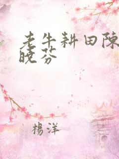 老牛耕田陈雪杨晓芬