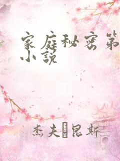 家庭秘密第3集小说