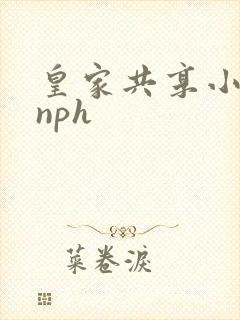 皇家共享小公主nph