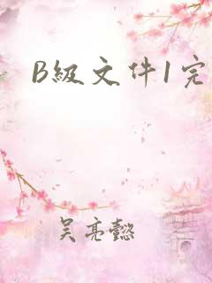 B级文件1完整