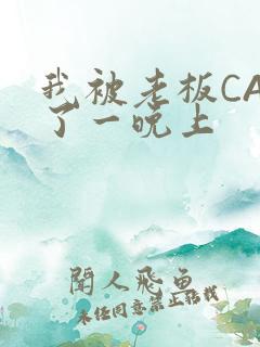 我被老板CAO了一晚上