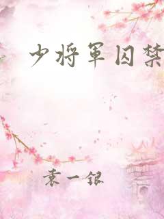 少将军囚禁我